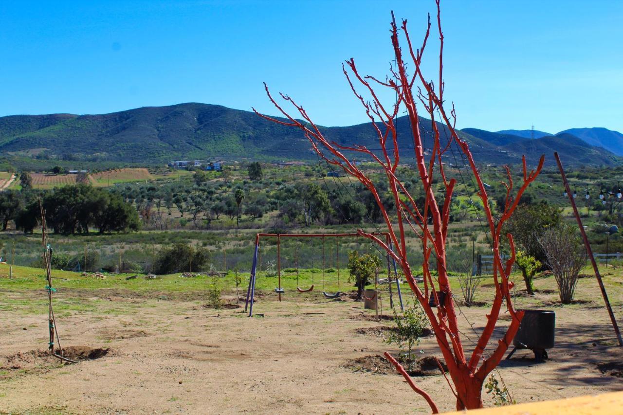 Rancho Matalote En Valle De Guadalupe Exteriér fotografie