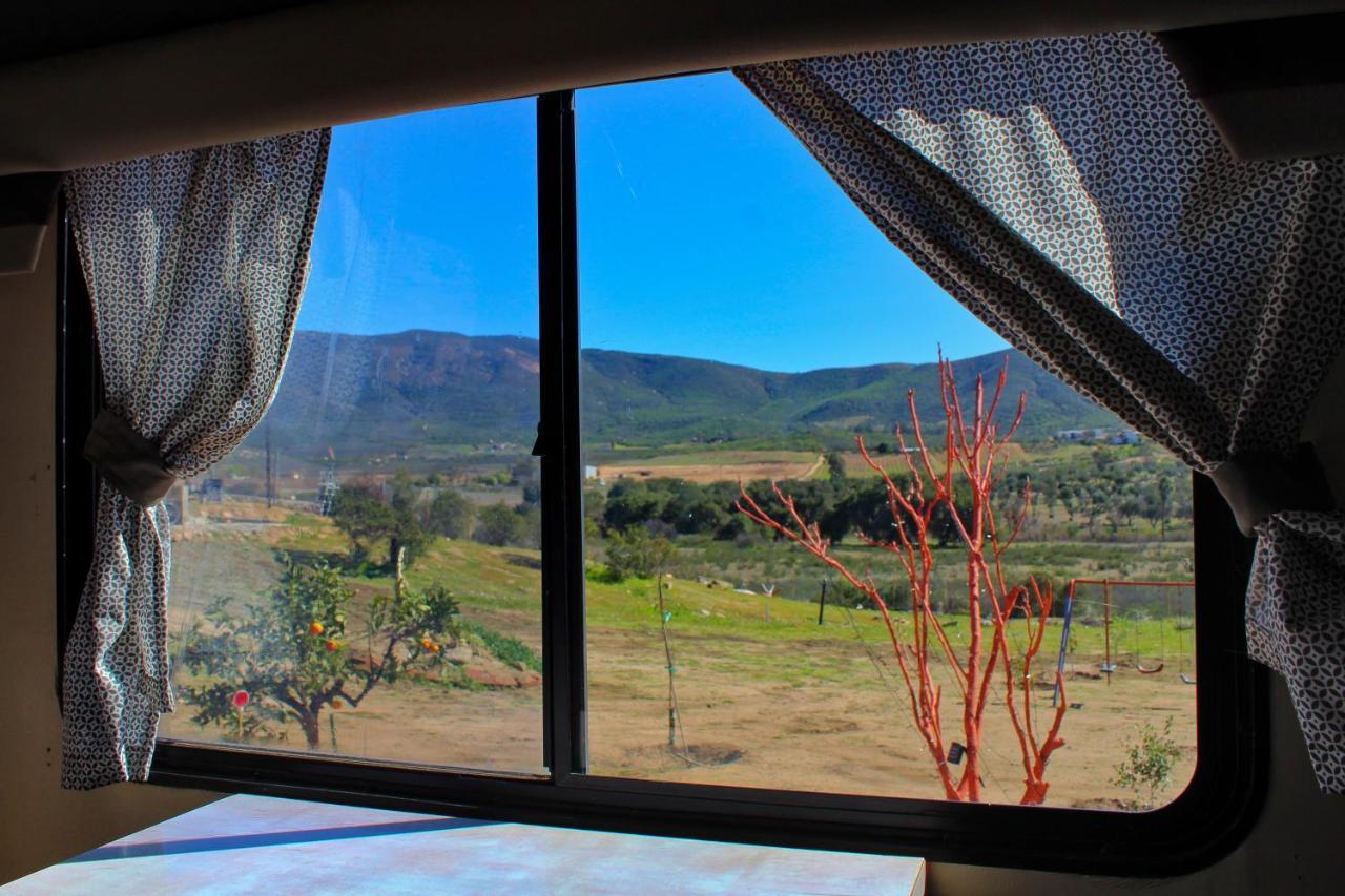 Rancho Matalote En Valle De Guadalupe Exteriér fotografie