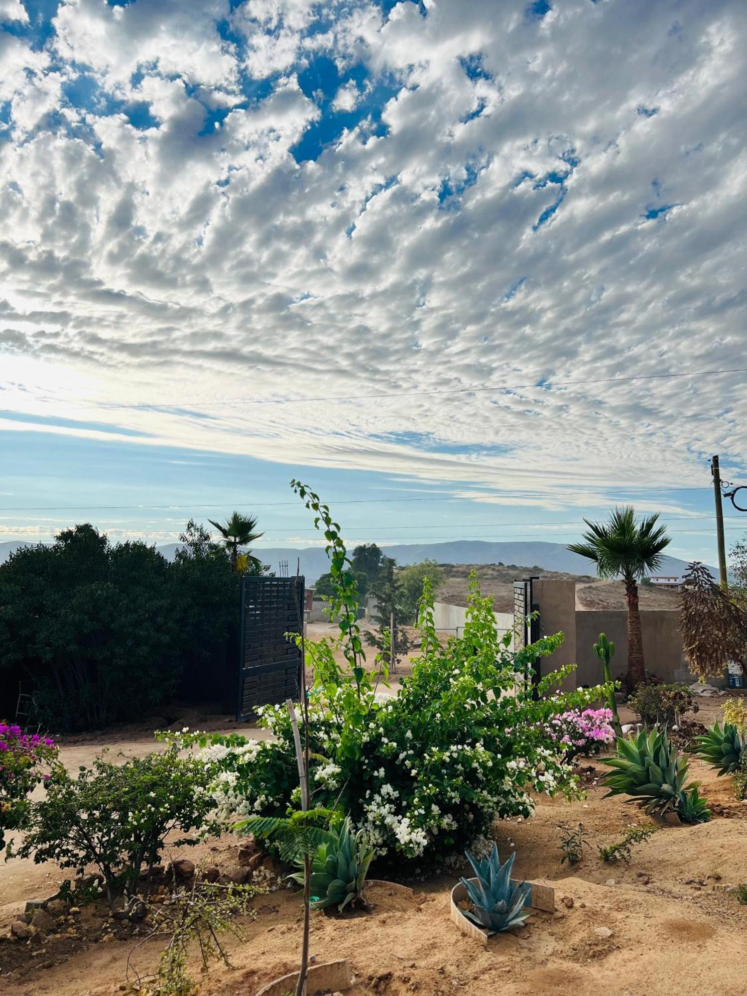 Rancho Matalote En Valle De Guadalupe Exteriér fotografie