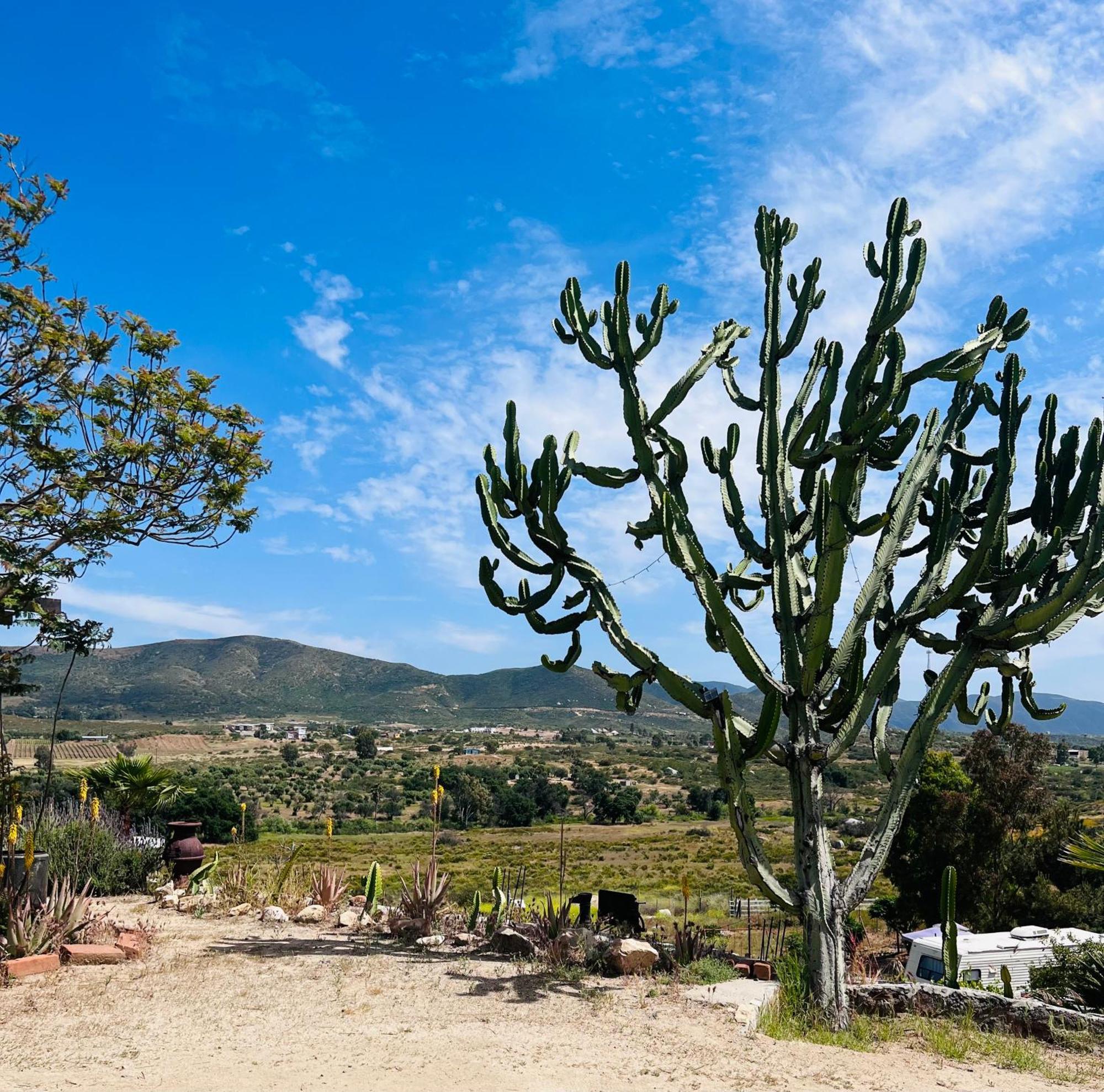 Rancho Matalote En Valle De Guadalupe Exteriér fotografie